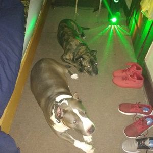 Meet your Posher, Dc